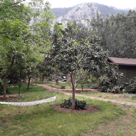 Kibala Hotel Çıralı Buitenkant foto
