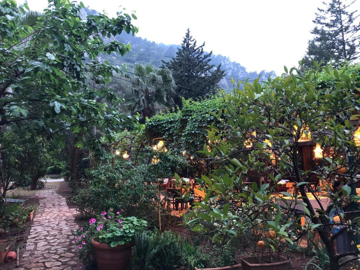 Kibala Hotel Çıralı Buitenkant foto