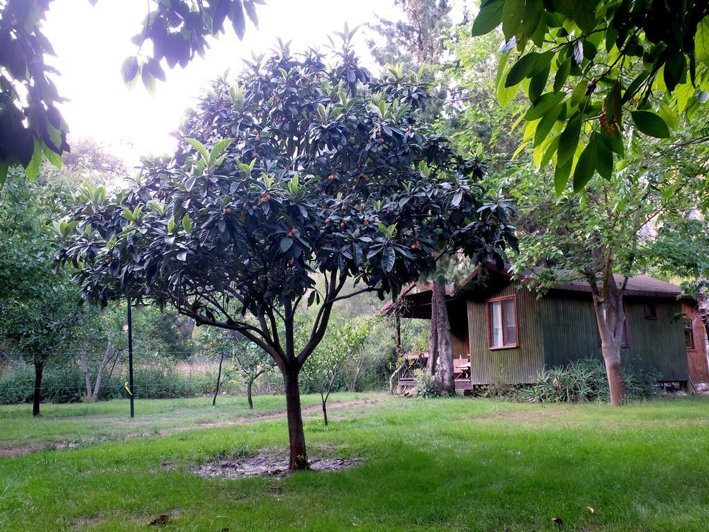 Kibala Hotel Çıralı Buitenkant foto