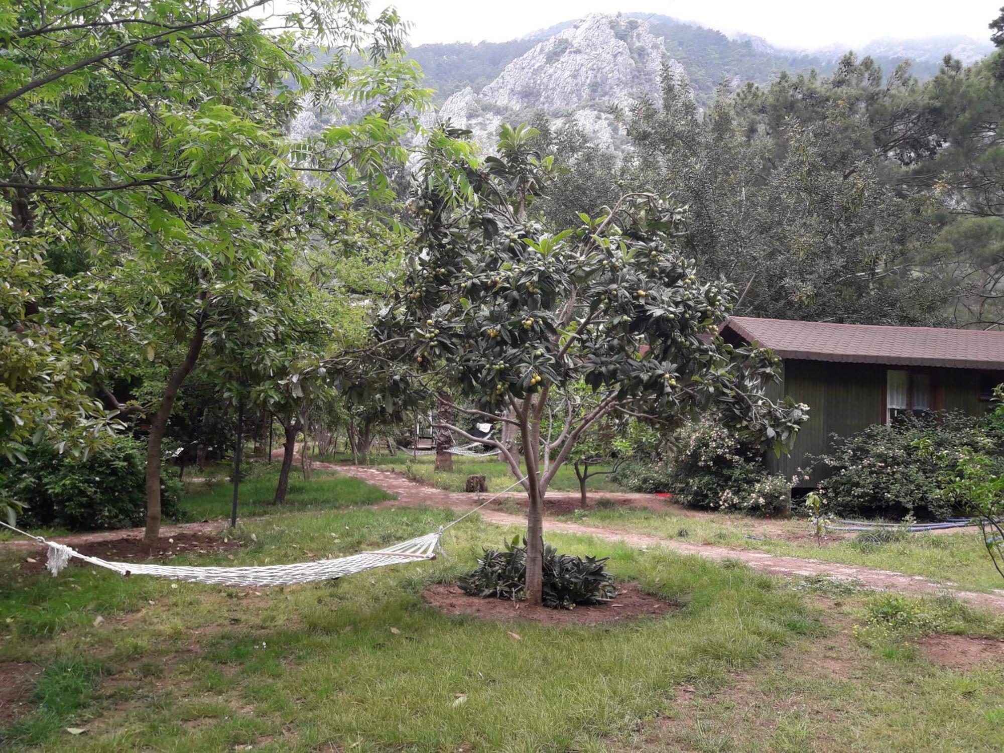 Kibala Hotel Çıralı Buitenkant foto