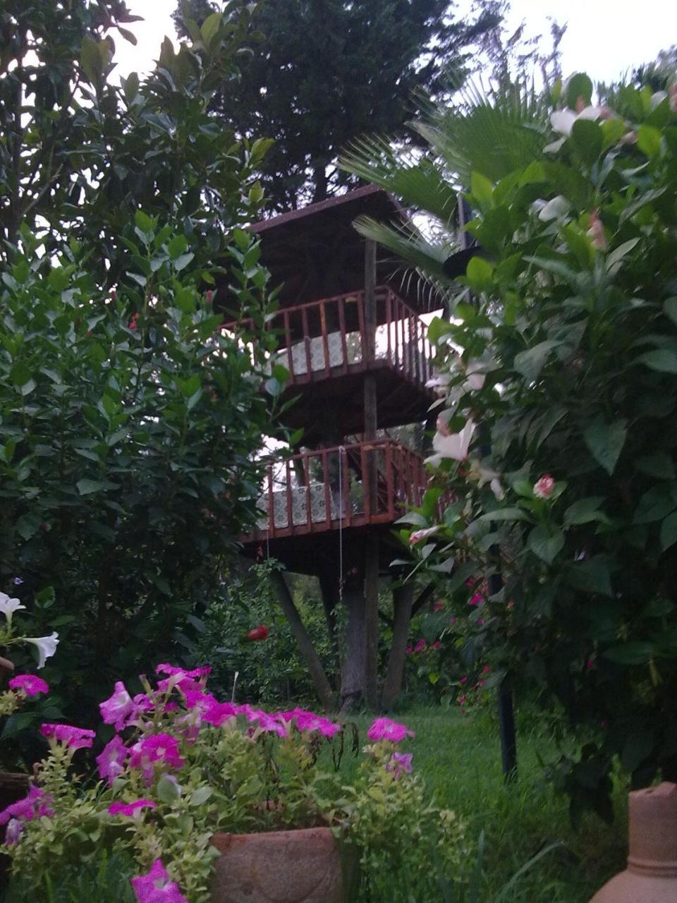 Kibala Hotel Çıralı Buitenkant foto