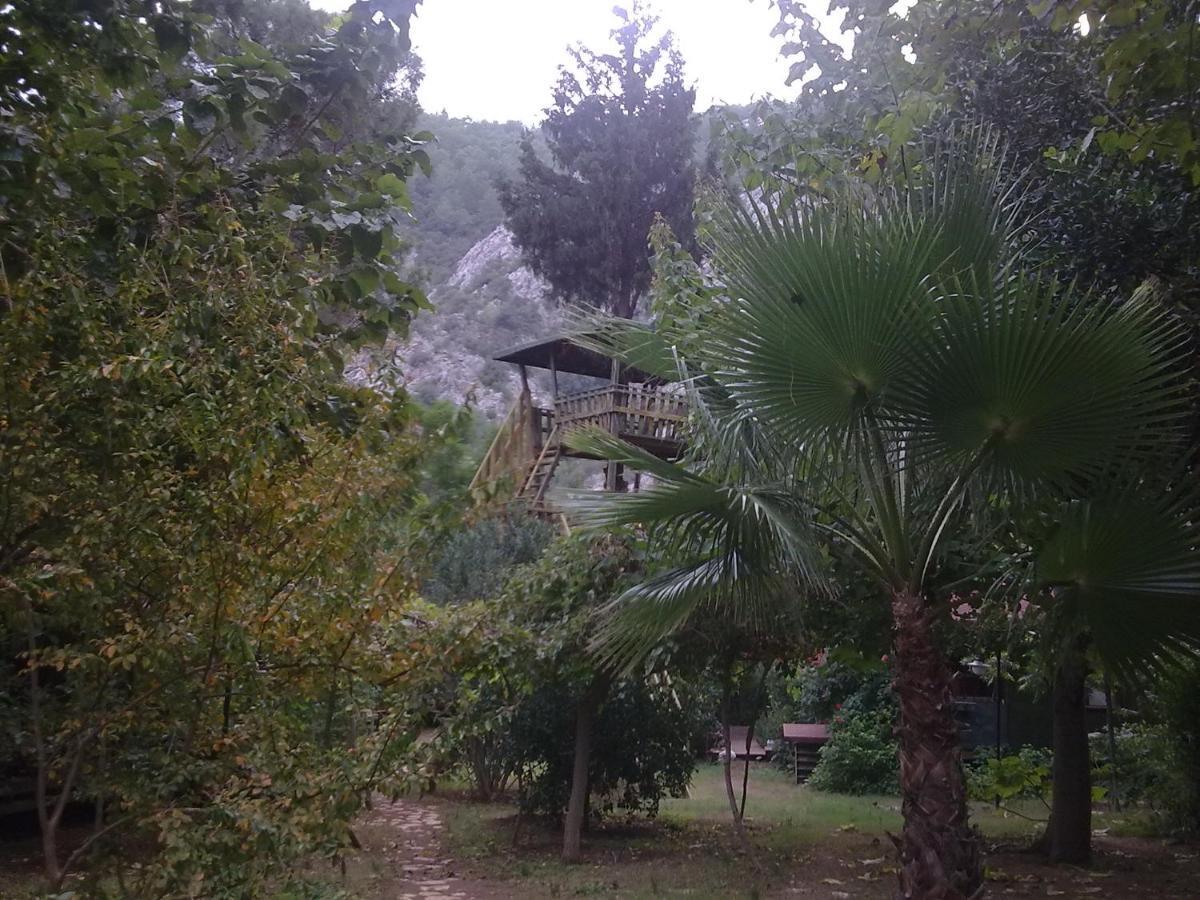 Kibala Hotel Çıralı Buitenkant foto