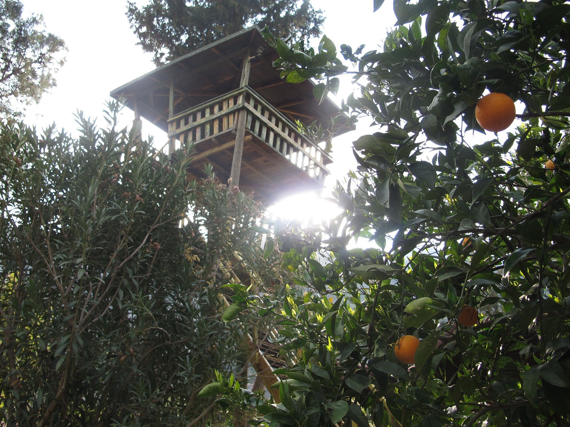 Kibala Hotel Çıralı Buitenkant foto